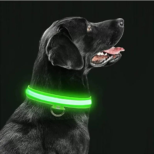 Led Glowing Adjustable Dog Collar
